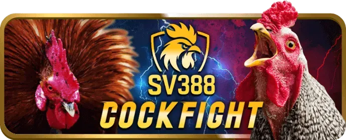 Sic Bo và Rồng Hổ ko66